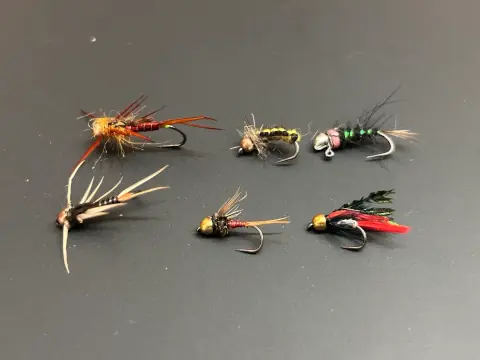 Toni Nymphs